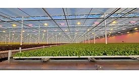 iUNU's LUNA Platform Chosen by Pure Green Farms to Advance Automation and AI