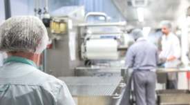 the backs of people's heads wearing hairnets in a food production facility