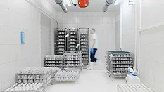 cold storage freezer_Anna Shvets via Pexels.png cold storage freezer