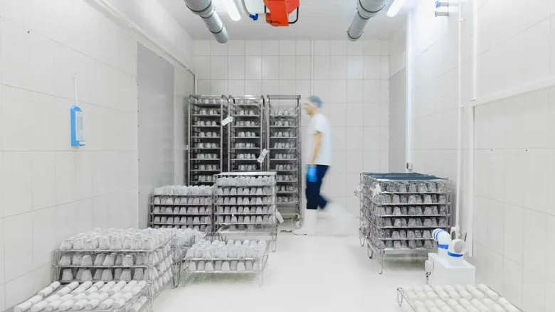 cold storage freezer