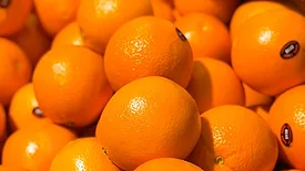 fresh oranges on display