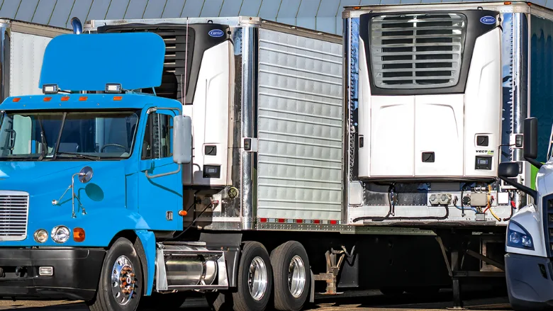 refrigerated reefers