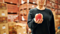 person holding apple in warehouse