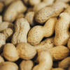 peanuts with shells