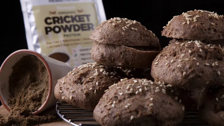 bread made of cricket flour