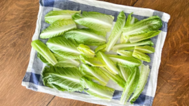 romaine lettuce washed on a cloth