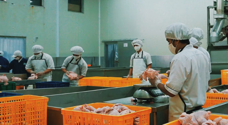 team working in a clean-looking poultry processing facility