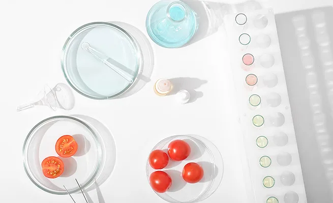 tomato in petri dish.jpg tomato in petri dish