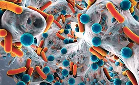 orange and blue illustration of a biofilm