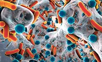orange and blue illustration of a biofilm orange and blue illustration of a biofilm