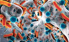 orange and blue illustration of a biofilm