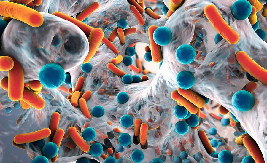 orange and blue illustration of a biofilm