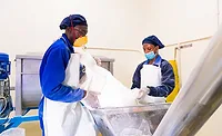 two men working in milk powder factory two men working in milk powder factory