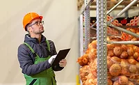 warehouse worker checking pallets of onions warehouse worker checking pallets of onions