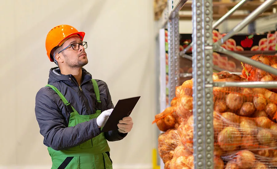 warehouse worker checking pallets of onions