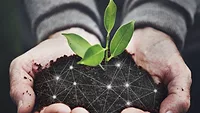 outstretched hands holding plant in soil with connected dots overlaid representing data_rawpixel via Magnific.png outstretched hands holding plant in soil with connected dots overlaid representing data
