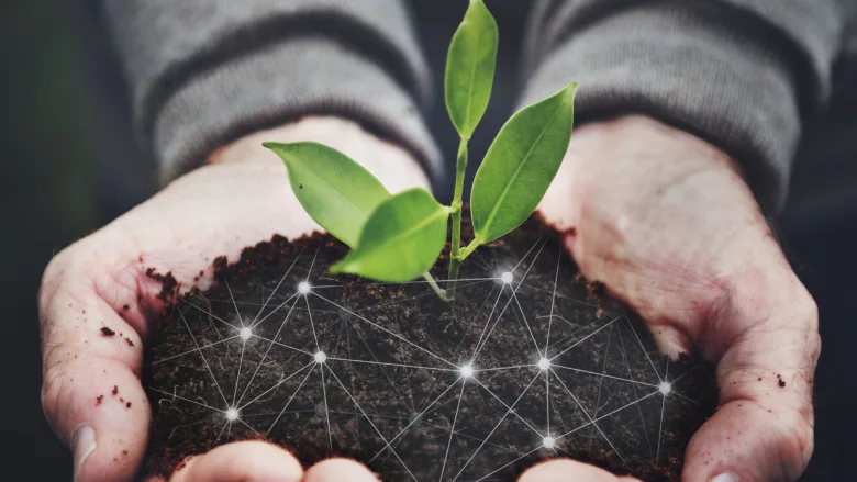 outstretched hands holding plant in soil with connected dots overlaid representing data