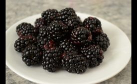 Blackberries hepatitis outbreak