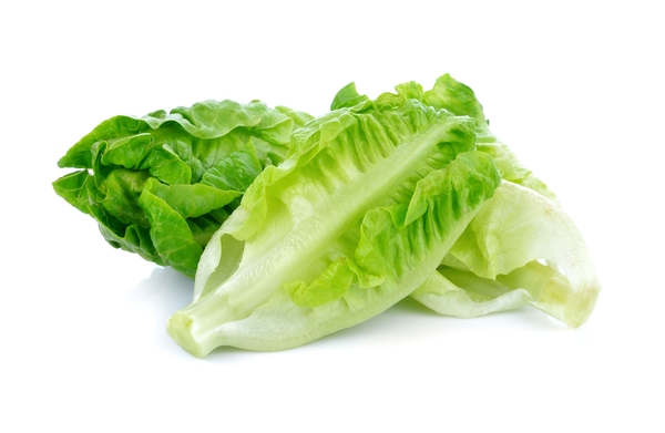 lettuce-123rf.jpg