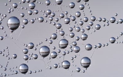 bubbles-fdp.jpg