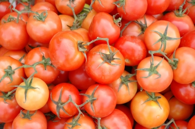 tomatoes-fdp.jpg