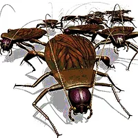 8916PestControl.jpg