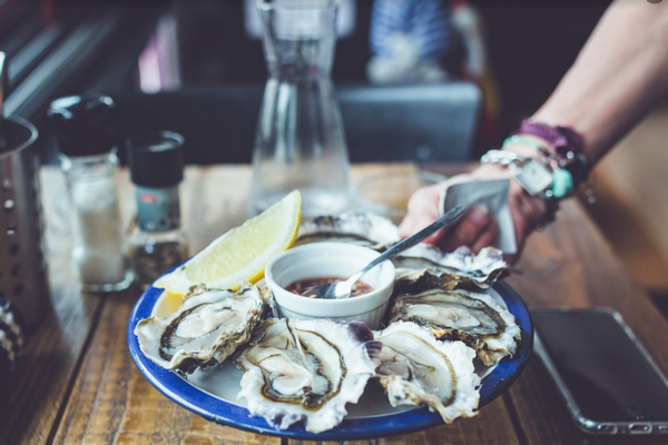 oysters-pixabay.png