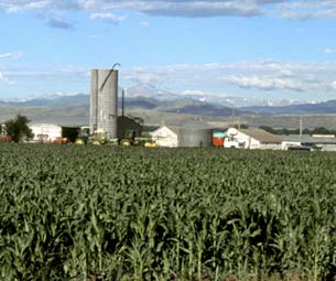 USDA-ARS-Image-Gallery_k4250-8_corn-farm_4web.jpg