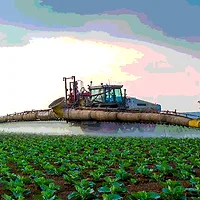 61918BtMaize.png