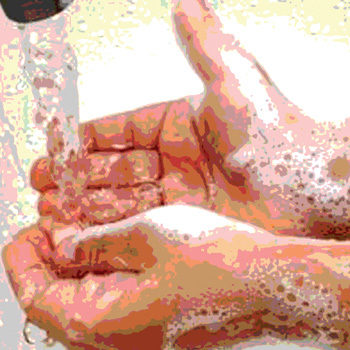 Proper Hand Washing: A Vital Food Safety Step