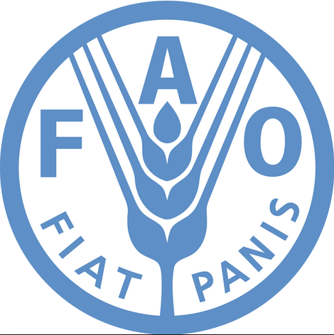 FAO logo.png