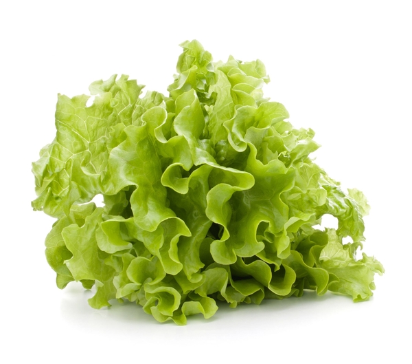lettuce-123rf copy 2.jpg
