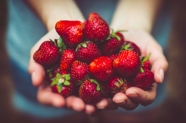 strawberries-pexels copy 2.png
