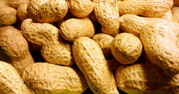 peanuts salmonella-pixabay.png