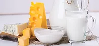 1218119Dairy.png
