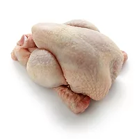 chicken-123rf copy 3.jpg