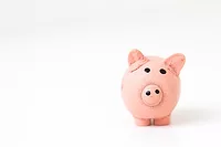 money-unsplash.jpg