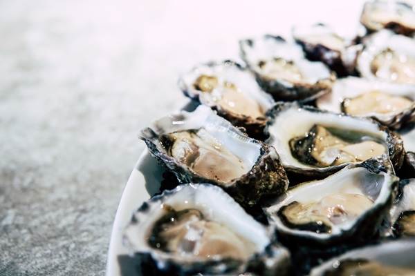 oysters-pexels.jpg