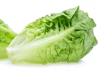 111720NewsRomaine.png