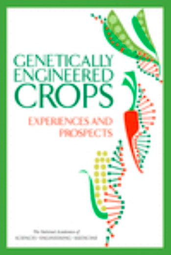GMO study.png
