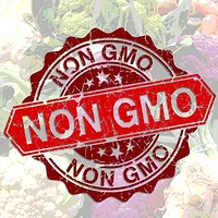8415NonGMO.jpg