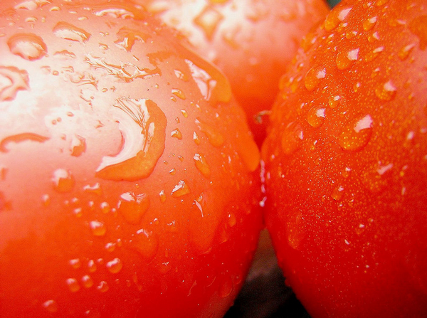 tomatoes-flickr.png