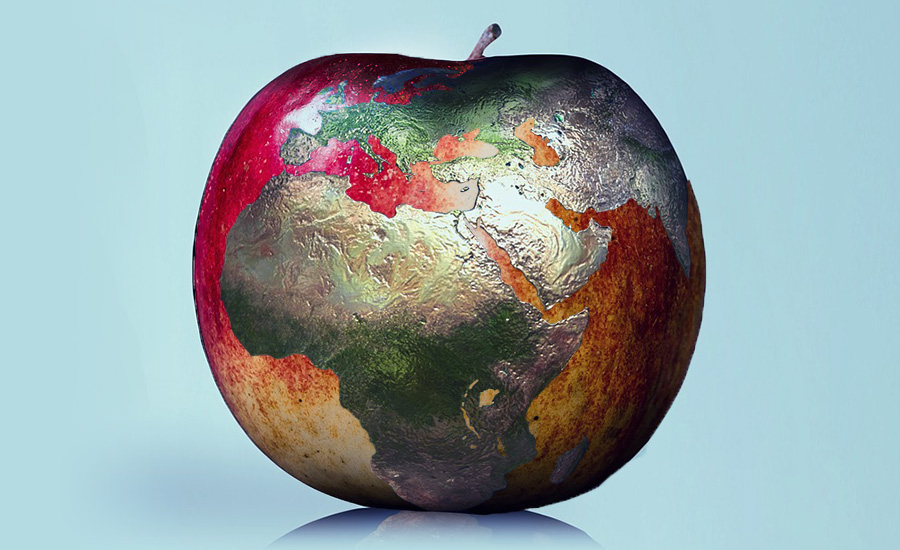apple with globe superimposed