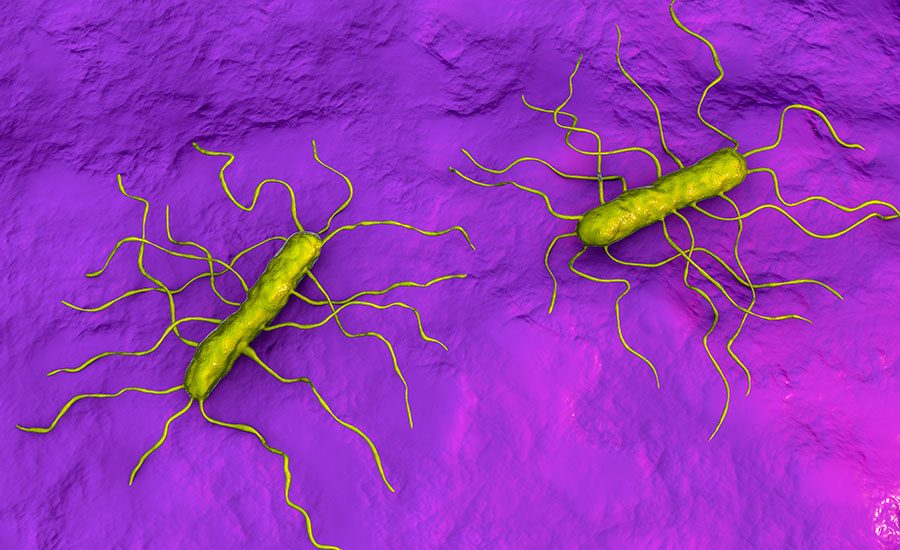 EW Group Announces Acquisition of Hygiena from Warburg Pincus 202102