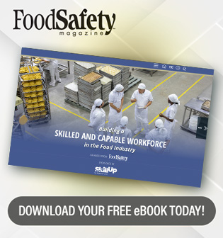 building a skilled an capable workforce eBook