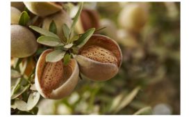 Almond Board Receives Prestigious Award in Recognition of Outstanding Contributions to Food Safety