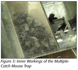 Inner Workings of the Multiple-Catch Mouse Trap