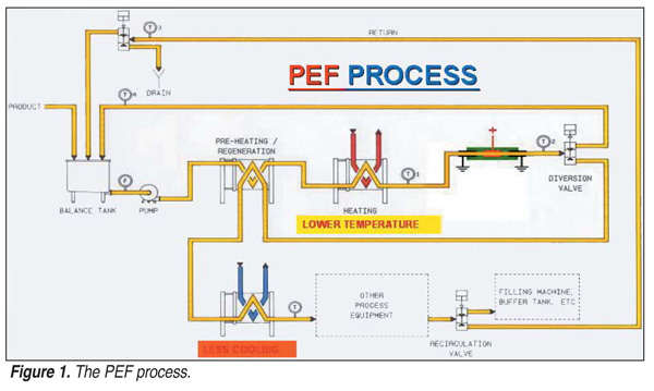 Figure 1. The pulsed electric field process