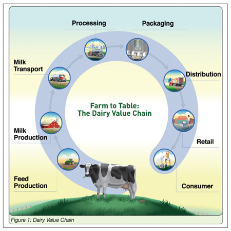 A Life Cycle Approach to Food Safety and Sustainability